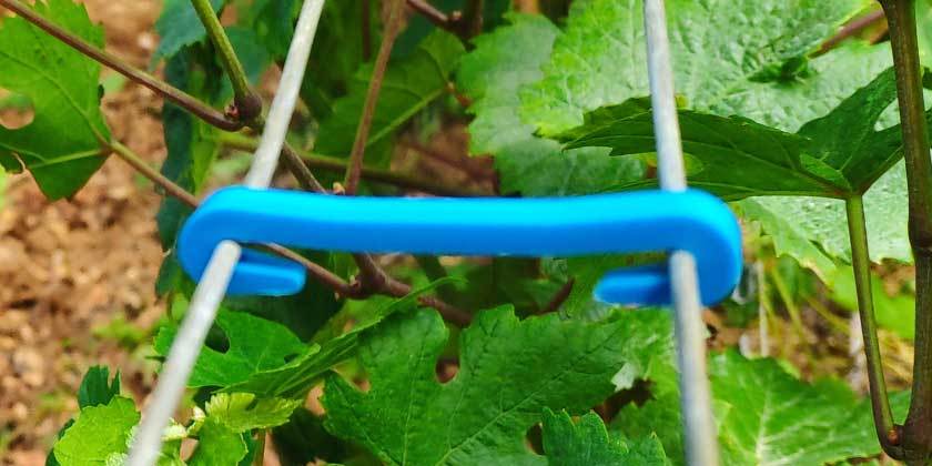 SOLIGRAF 42 RÉCUPERABLE® - Staples used on high tension vines
